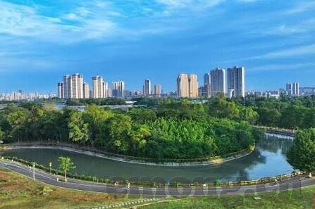 大象传媒官方入口-探索大象传媒的数字门户，解锁多元文化交流的新篇章