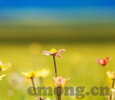 国产精品麻豆成人av粉嫩-国产精典，探秘粉嫩的视觉盛宴——国产麻豆成人AV的独特魅力