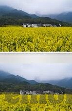 欧美日韩大陆片一区二区三区-电影文化的多元视角，欧美、日韩与大陆片区的探索