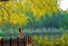 欧美日韩精品人妻一区-欧美日韩精品人妻的魅力与文化差异