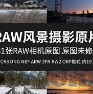 日韩av一本9-探索日韩AV文化中的独特魅力，一本9的视角