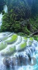 五月丁香成人视频-丁香花开，五月情深——成人视频的隐秘与真实