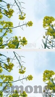 亚洲日韩精品欧美一区二区一-亚洲、日韩精品与欧美一区二区的文化交融与探索